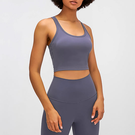 Buy Lily lycra padded crop top